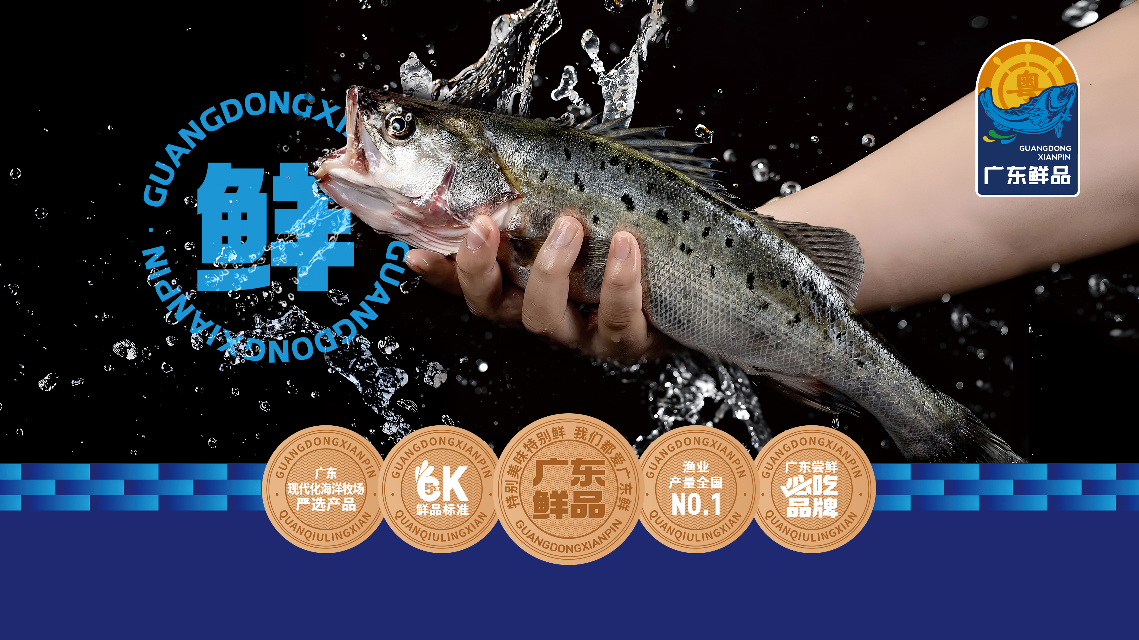广东鲜品现代化海洋牧场区域公用品牌策划