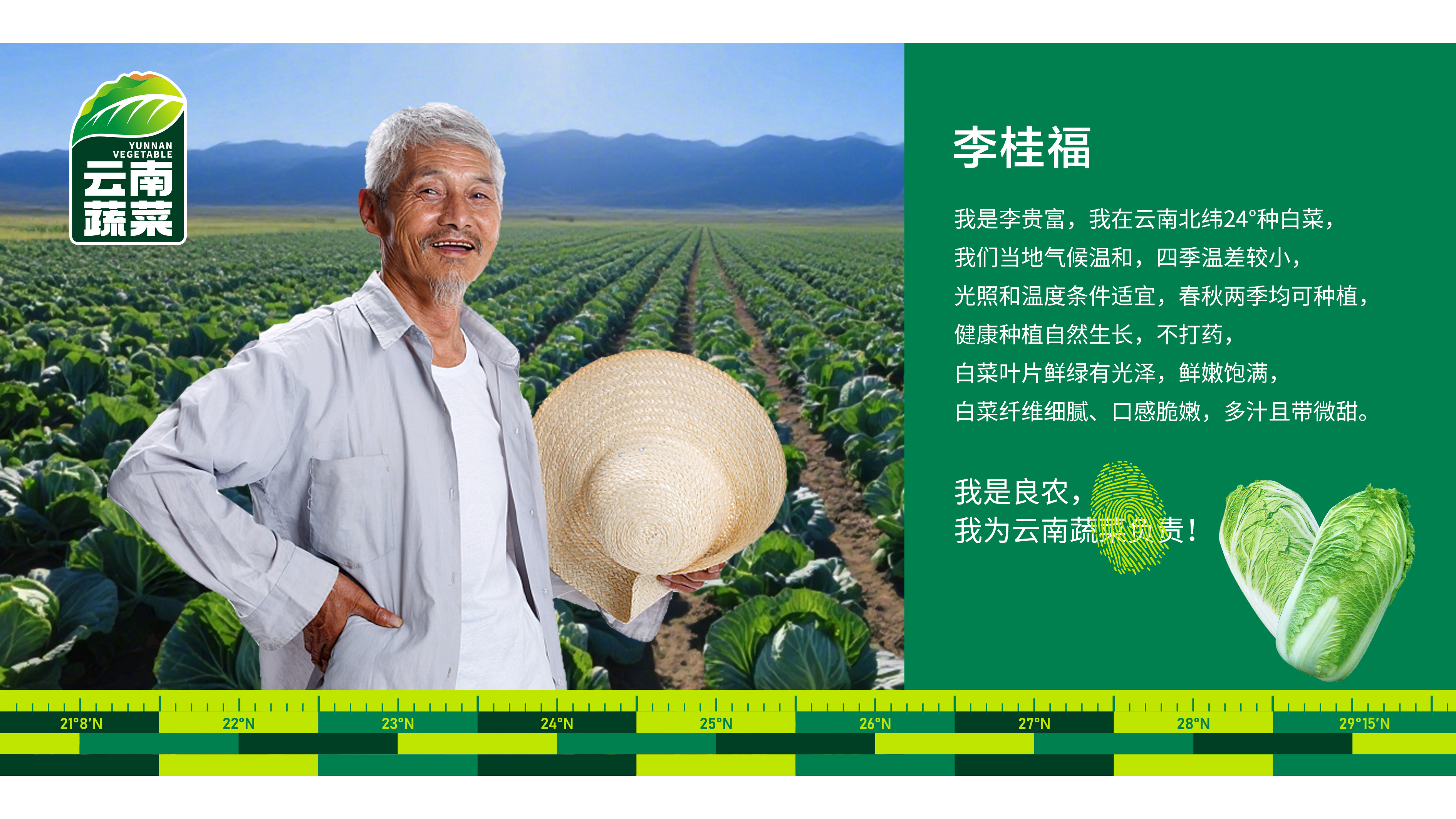 蔬菜logo设计