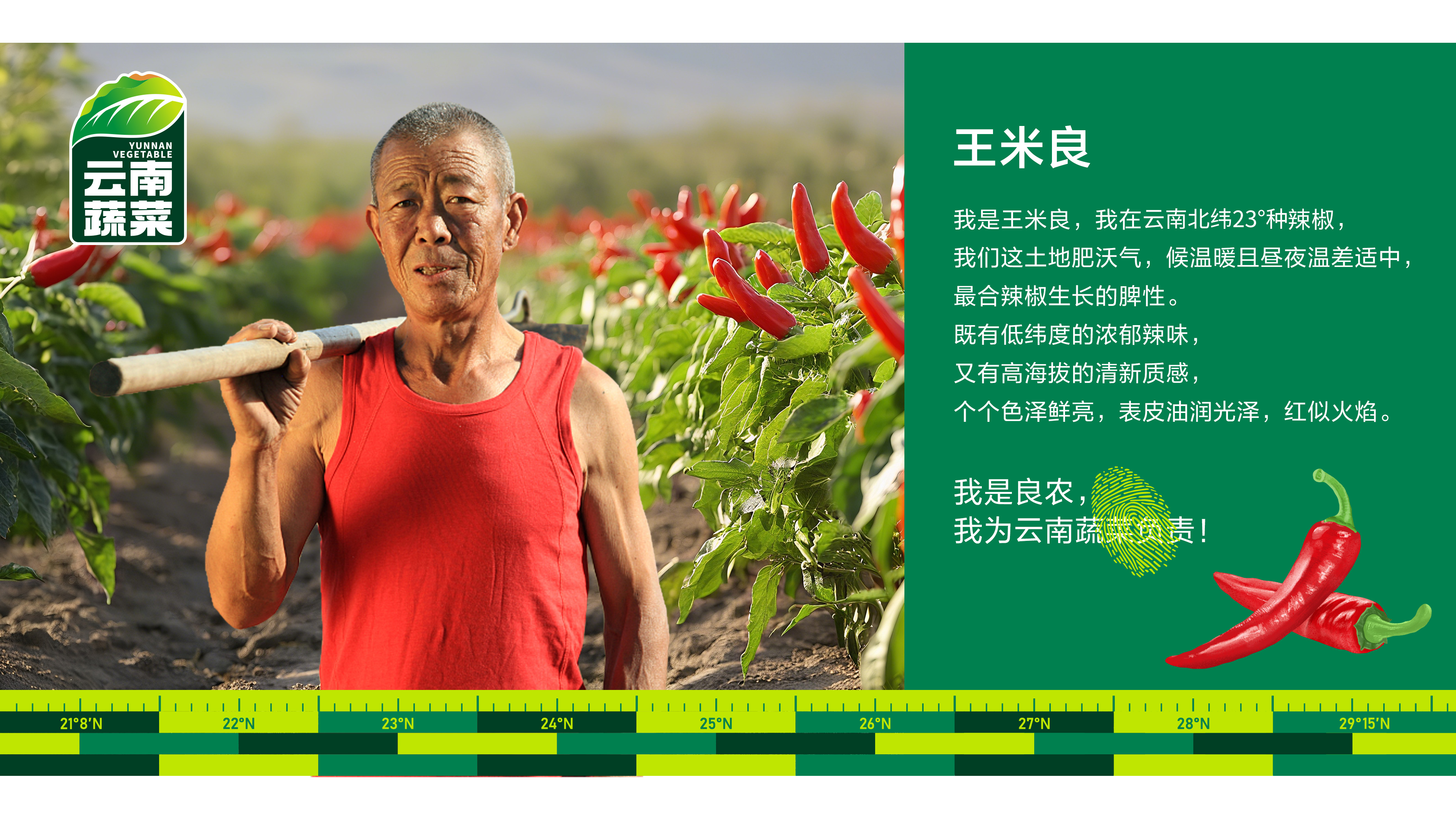 蔬菜logo设计