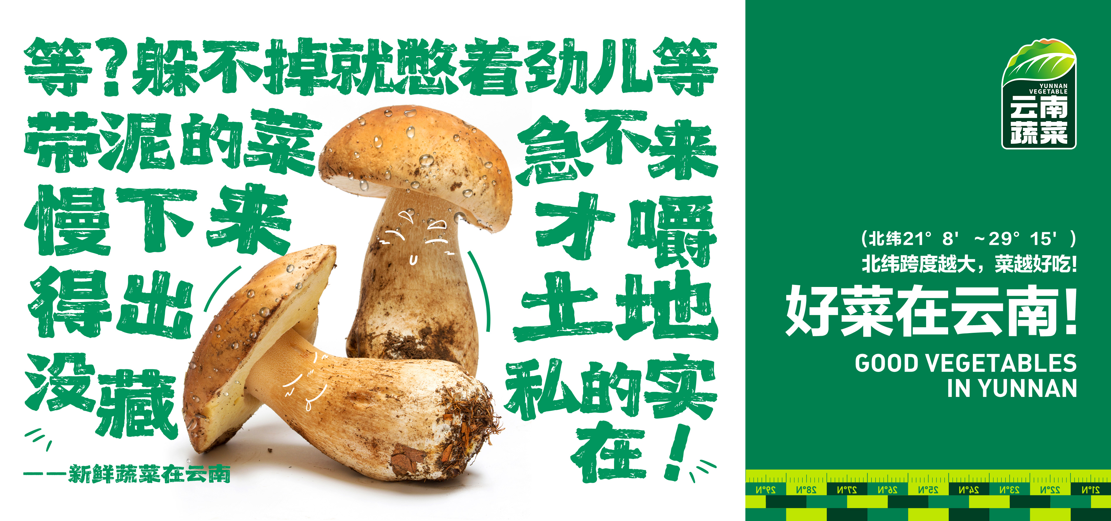 蔬菜区域公用品牌推广