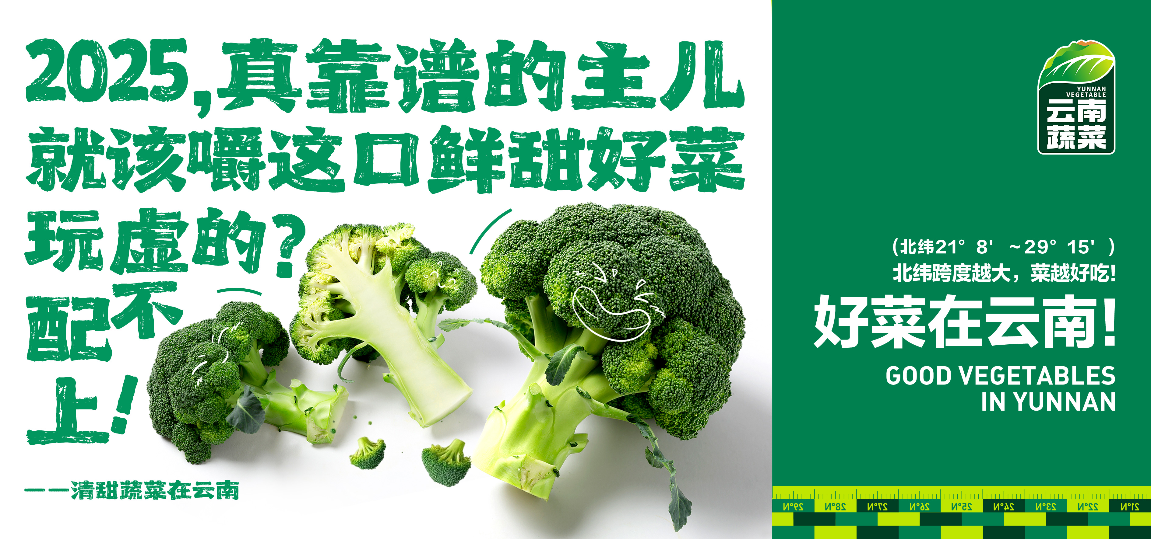 蔬菜区域公用品牌推广